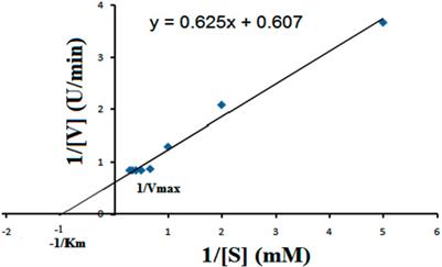 Biochemical Characterization of Cellulase From Bacillus subtilis Strain and its Effect on Digestibility and Structural Modifications of Lignocellulose Rich Biomass